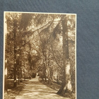 Notsjö gård 1918, 3 kuvaa, 16,5 x 11,5 cm - pikkukuva 1