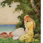 kortti ** Koivu Rudolf Eläin - erilaisia - pikkukuva 2