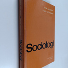 Erik Allardt : Sociologi - pikkukuva 1