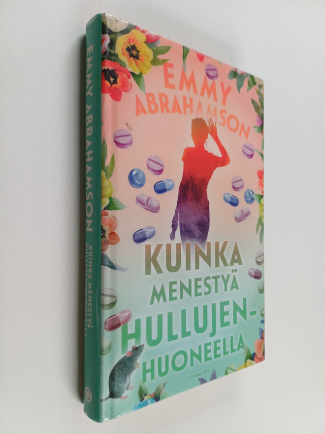 Emmy Abrahamson : Kuinka menestyä hullujenhuoneella