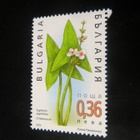 Bulgaria 2003: kasveja - pikkukuva 3