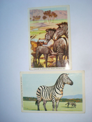 Jenkki Villieläimiä N:o 100+101. SEEPRA