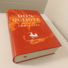 Miguel de Cervantes: Don Quijote - pikkukuva 1