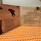 Petri Kumela:Small creatures/A musical Bestiary CD - pikkukuva 3