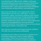 Aki Jääskeläinen: Arvoa palvelutuotannon mittareista - pikkukuva 3