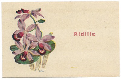 Cata Rodén Äidille kukkia