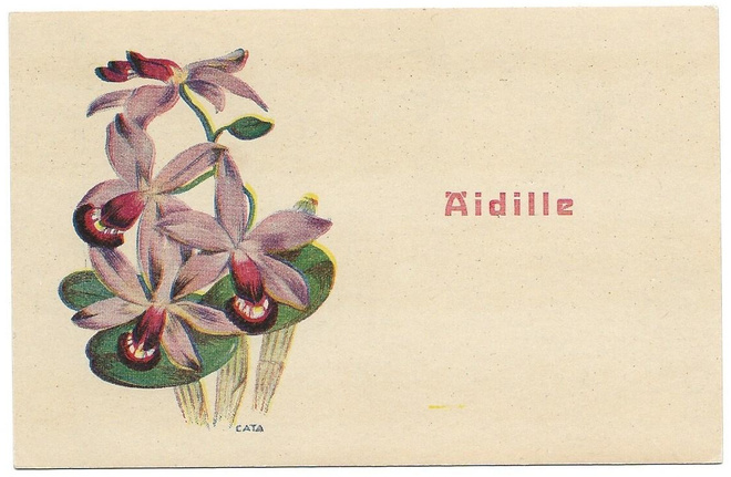 Cata Rodén Äidille kukkia