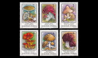 Unkari 3871-6 ** Myrkylliset sienet (1986)