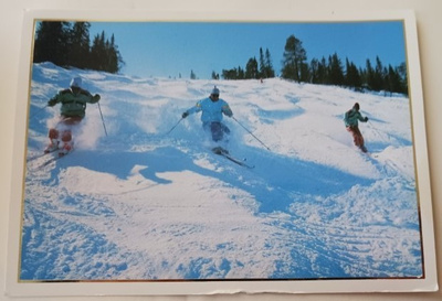 Lappi, laskettelua vitivalkoisella lumella, p. 1989 + erik.l