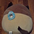 Squishmallows pehmo Woodward (kissa) h=30cm (#3234) - pikkukuva 2