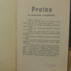 Protea eli naispuolinen rosvopäällikkö, Andersin 1919. 32 s. - pikkukuva 3