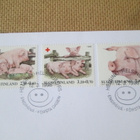 FDC Suomi 1998: Punainen Risti - sikoja - pikkukuva 2