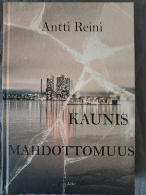 Antti Reini: Kaunis mahdottommuus
