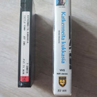 Katkenneita kukkasia VHS D. W. Griffith - pikkukuva 3