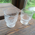 Tapio Wirkkala Iittala snapsilasi Paadar 2 kpl - pikkukuva 2