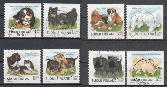 1998 Koiranpentuja hieno sarja