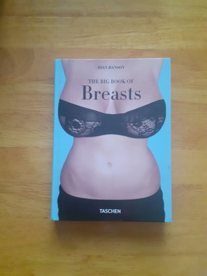 The Big Book of Breasts KIRJA