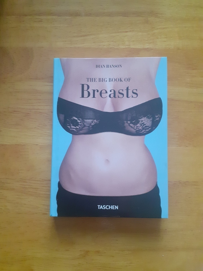 The Big Book of Breasts KIRJA