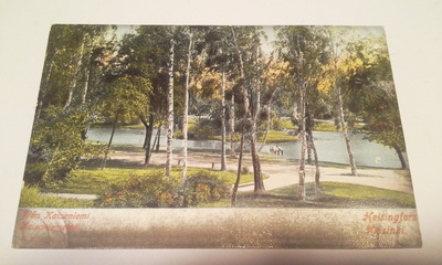 Helsinki - Kaisaniemi. Kulkematon värikortti 1900-luku