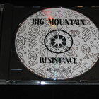 *CD* BIG MOUNTAIN Resistance - pikkukuva 3