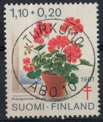 1981 tub 1,10 mk loisto TURKU -81