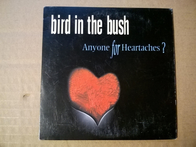 Bird In The Bush - Anyone For Heartaches? CDS
