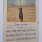 Veli Giovanni : Pilajuttuja ja piirroksia 3/1944 - pikkukuva 2