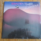 Sébastien Tellier – Divine (RARE syntikkapop-single, sexy) - pikkukuva 1