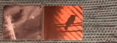 The Silver Mt. Zion Memorial Orchestra -Born Into Trouble CD