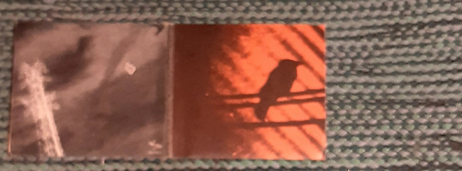 The Silver Mt. Zion Memorial Orchestra -Born Into Trouble CD