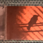 The Silver Mt. Zion Memorial Orchestra -Born Into Trouble CD - pikkukuva 1