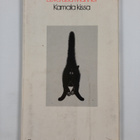 Eeva-Liisa Manner : Kamala kissa : pilakokoelma - pikkukuva 2