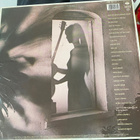 Al Di Meola: Splendido Hotel 1980 2LP - pikkukuva 2