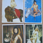 Kolmetoista Pin-up almanakkakorttia 1982-1994 - pikkukuva 2