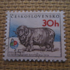 Tsekkoslovakia: kotieläimiä - pikkukuva 2