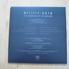 MANILLA ROAD - PLAYGROUND OF THE DAMNED  lp - pikkukuva 2