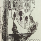 Herman Hesse: Arosusi - pikkukuva 1