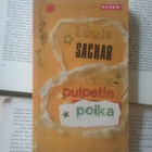 Louis Sachar - Takapulpetin poika (pokkari) - pikkukuva 1
