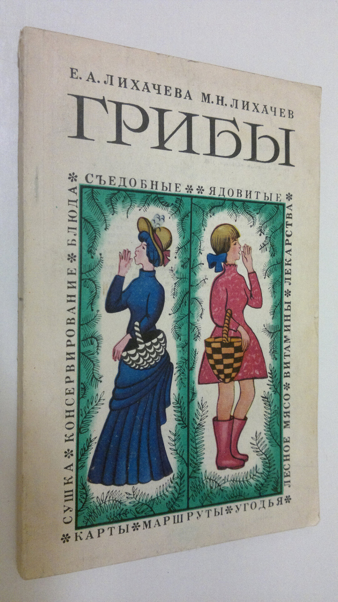E. A. Likhayueva : Griby
