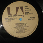 2LP  Nitty Gritty Dirt Band – Stars And Stripes Forever - pikkukuva 3