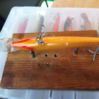 Rapala  Magnum  Ireland 11cm - pikkukuva 4