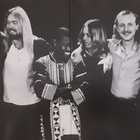 Allman Brothers Band - Enlightened Rogues (uudenveroinen LP) - pikkukuva 3