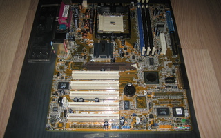 Asus K8V-X (socket 754)