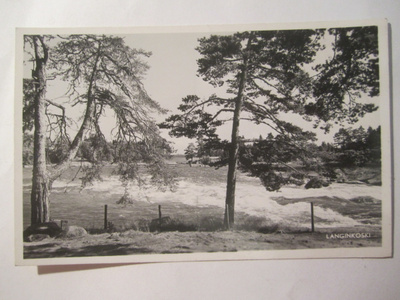 VANHA Postikortti Kotka 1950-l Alkup.Mallikappale