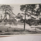 VANHA Postikortti Kotka 1950-l Alkup.Mallikappale - pikkukuva 1
