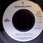 DAVID HALLYDAY::TEARS OF THE EARTH / CAN'T DENY:VINYYLI 7" - pikkukuva 3