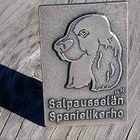 Pöytämitali, Valmistajan leimalla, Halkaisija - 33*50 mm - pikkukuva 2
