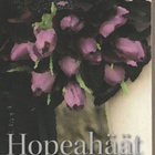 Maeve Binchy, Hopeahäät - pikkukuva 1