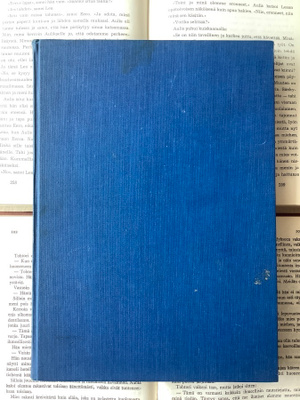 Mikko Ossa - Turun poliisilaitos 1816-1966 (sid.)