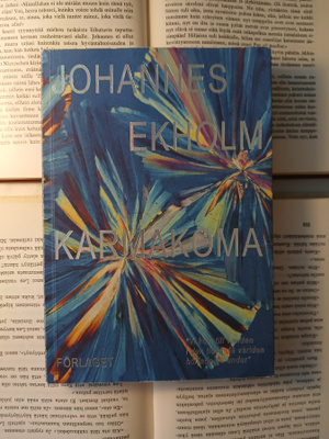 Johannes Ekholm - Karmakoma (häftad bok)